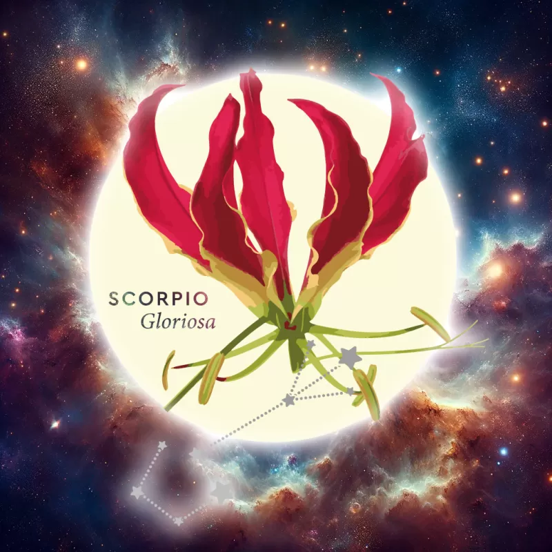 Floroscope 2024 - Scorpio Gloriosa